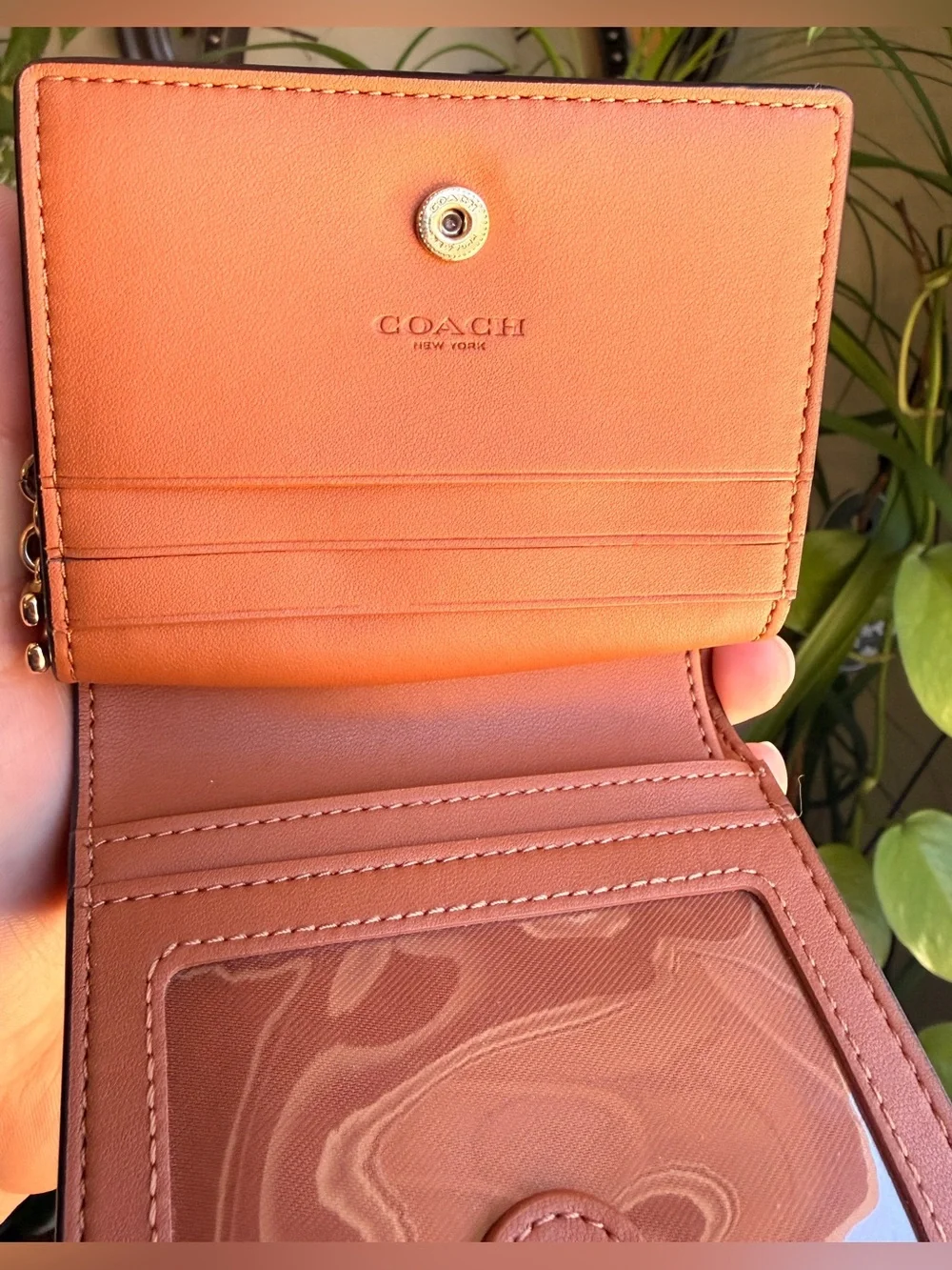 NWOT- Coach CW463 Graphic Dinosaur Astronaut Wallet